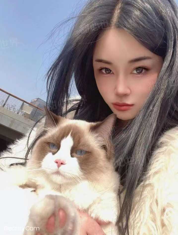 爱撸猫的颜值姐姐