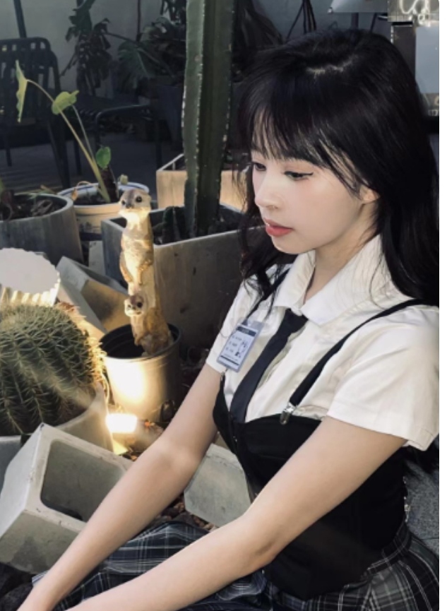 超级清纯nice的小姐姐