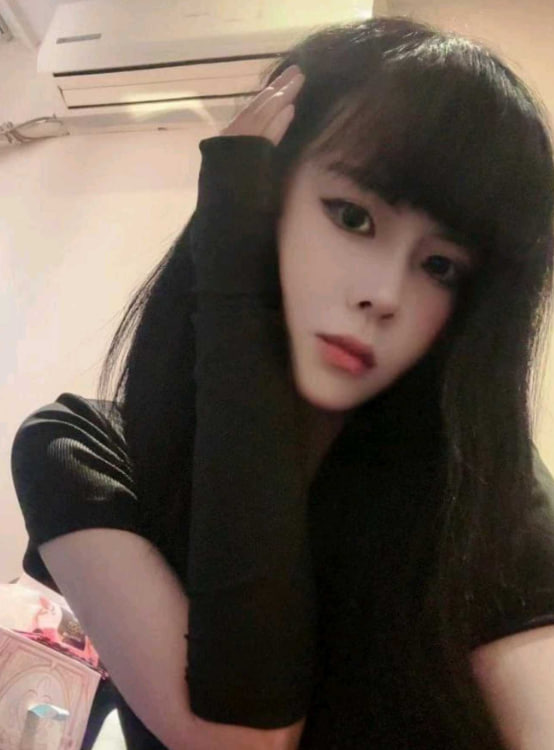 车模身高的梦雨