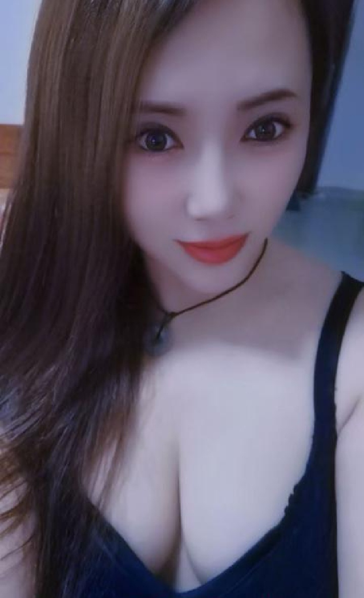 白云区东北小奶牛