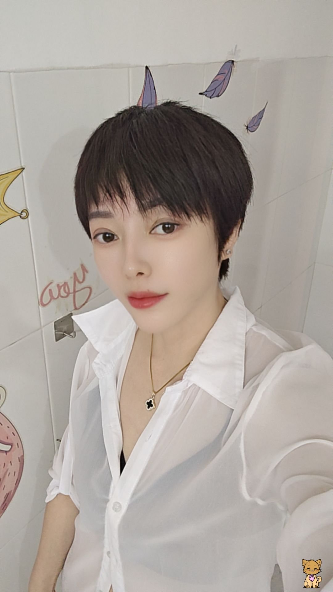 番禺市桥黄编 安琪