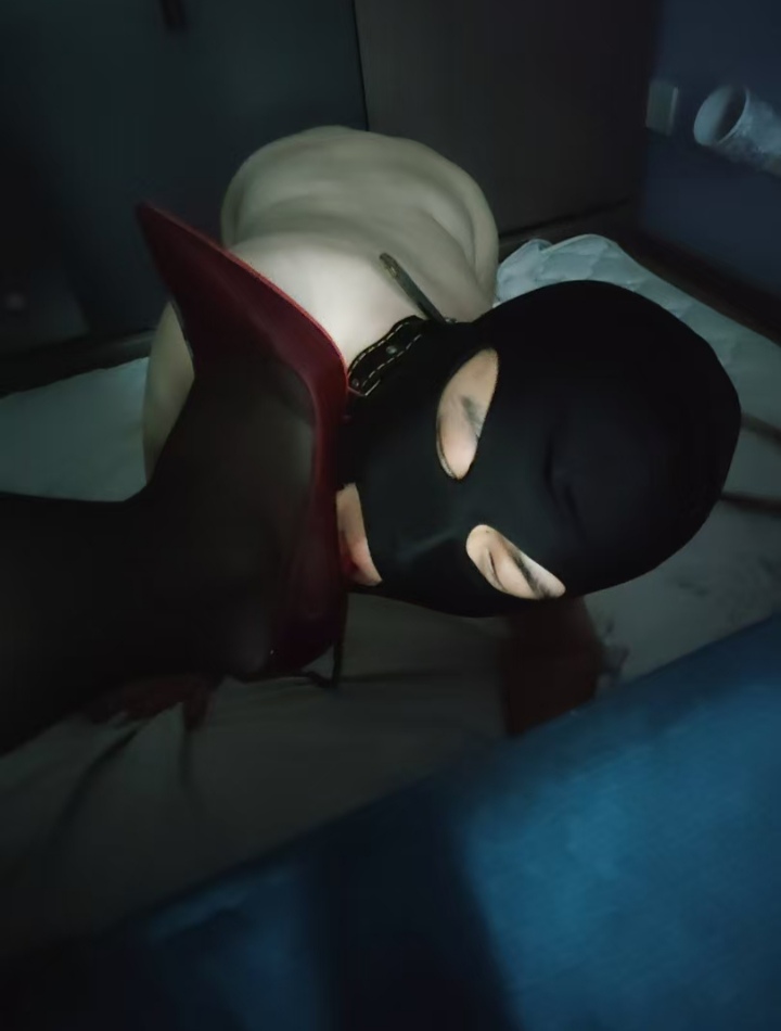 庐阳剧情调教女主s