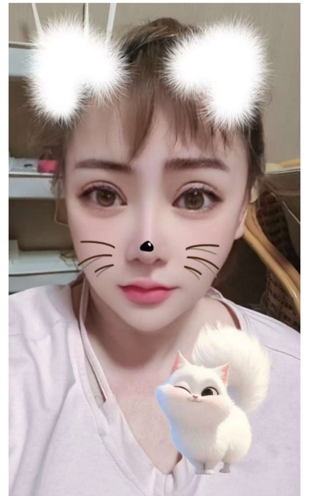 拱墅区混血螺纹妹妹