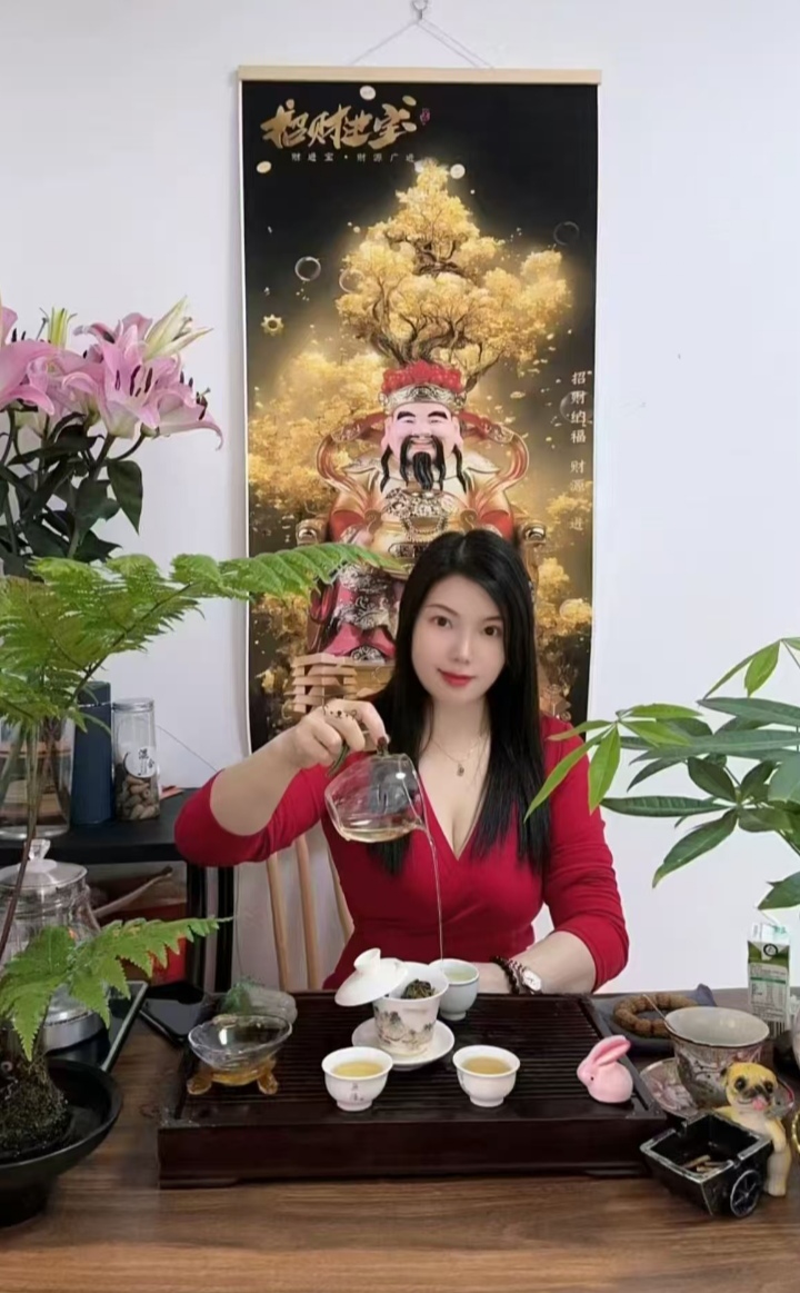 丹凤街美御姐冰雪