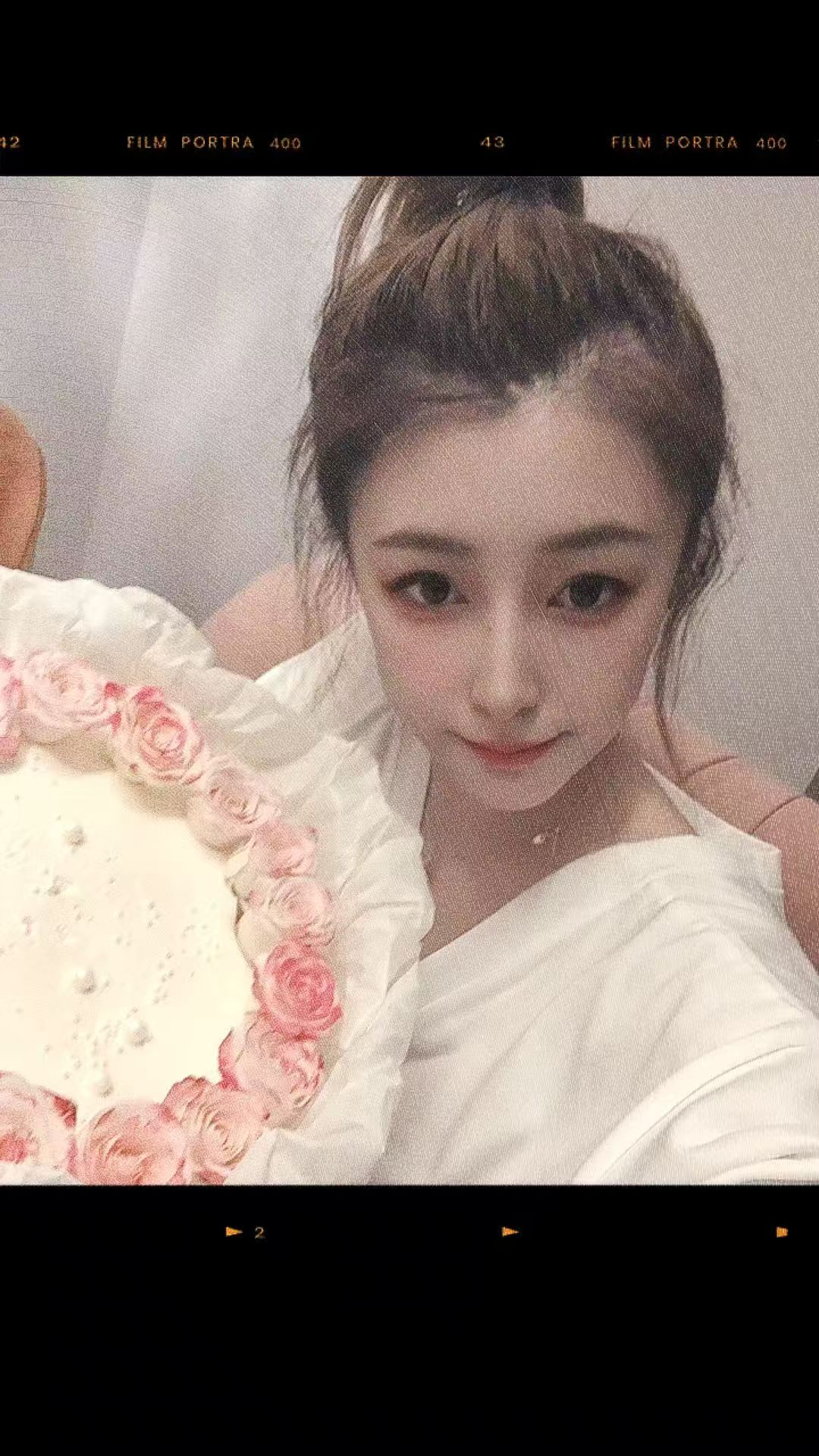 江北区五里店猫猫