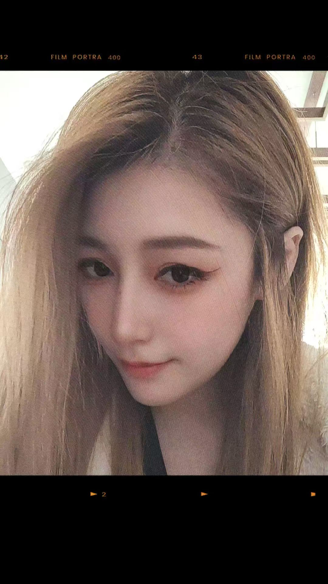 江北区五里店猫猫