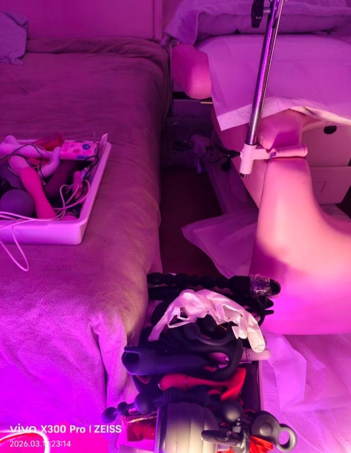 美艳情趣尤物苏妲己